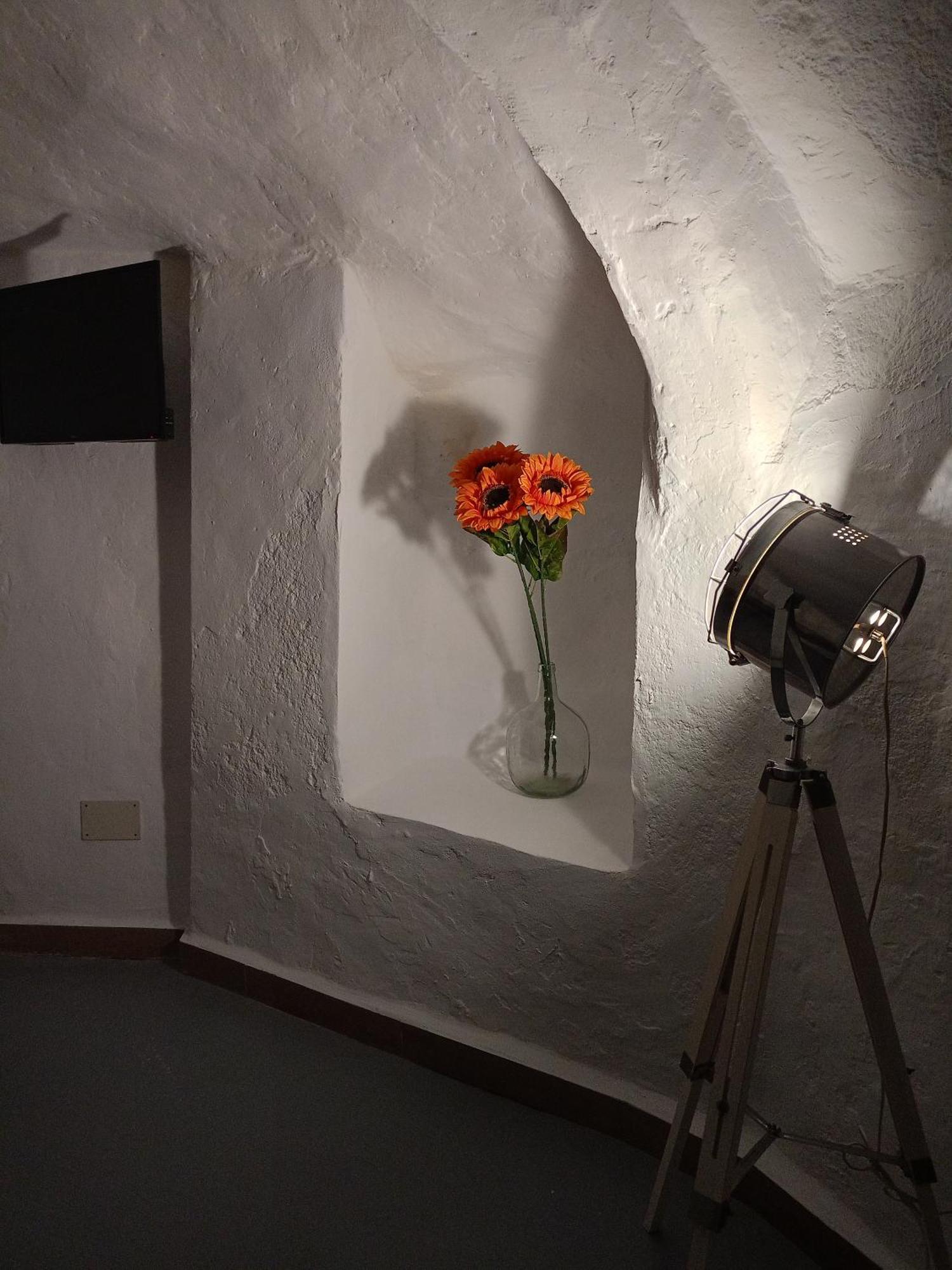 Encantadora Casa-Cueva En Pleno Barrio Alfarero De Níjar Eksteriør billede